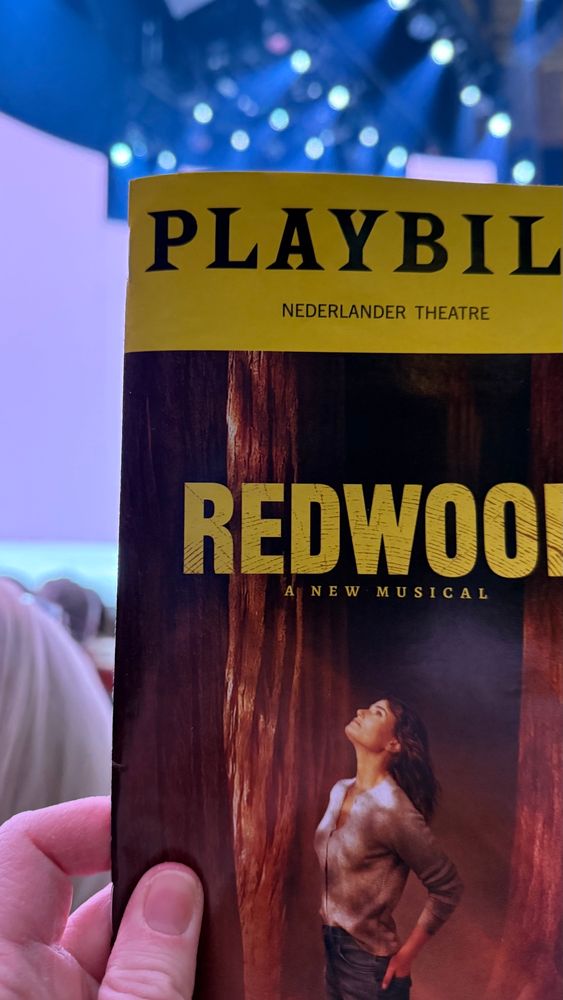 Playbill cover of Redwood, showing Idina Menzel looking up towards the top of a Redwood tree