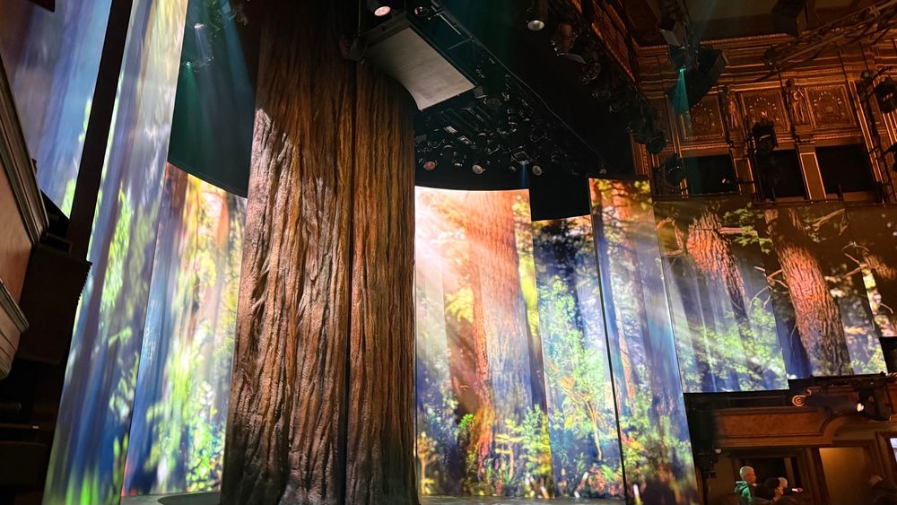 Picture of redwood Broadway stage with screens showing forest 