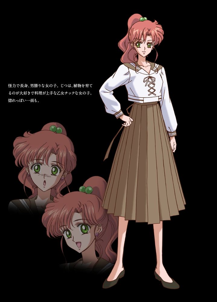 Character sheet image for Makoto Kino, Sailor Jupiter