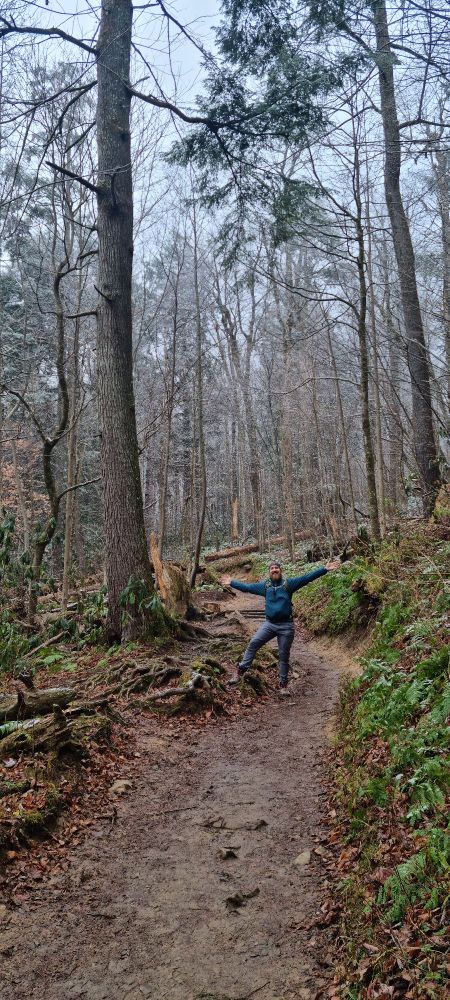 One of my favorite, easy to reach places: on trail! Lots of brown this time of year but even so green mosses, holly and evergreen trees still bring some color. 