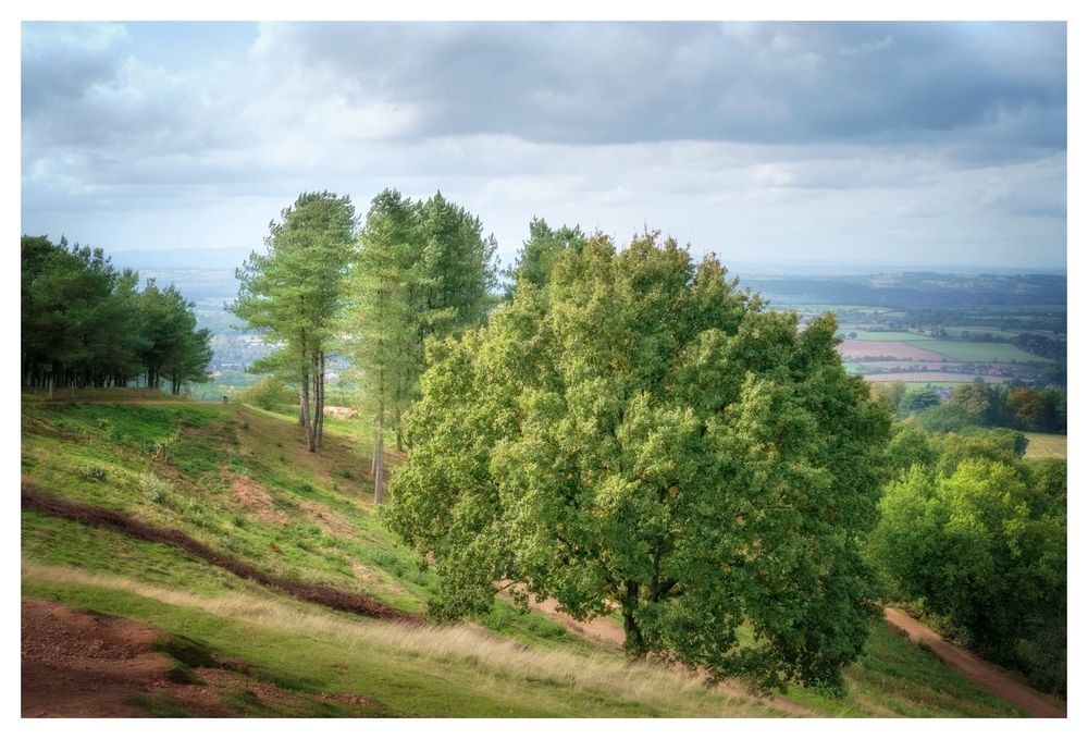 Autumn woodland scenes.