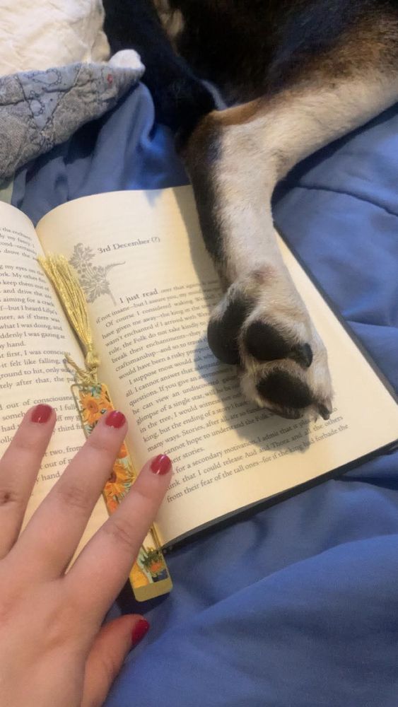 A pupper paw on my book laying on my bed.