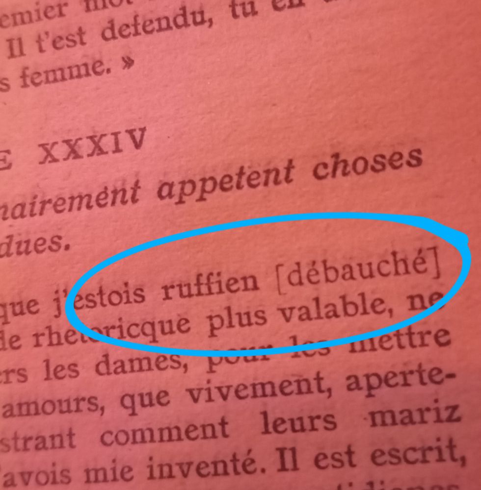 Photo d'un livre en ancien français (c'est Pantagruel de Rabelais) où il est écrit "j'estois ruffien" et il est précisé que ruffien veut dire débauché, et peut-être que ça ressemble à Ruffin, mais peut-être que c'est que moi, on sait pas