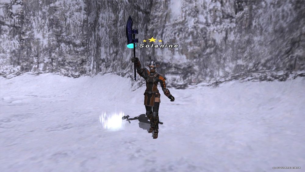 FF11SS