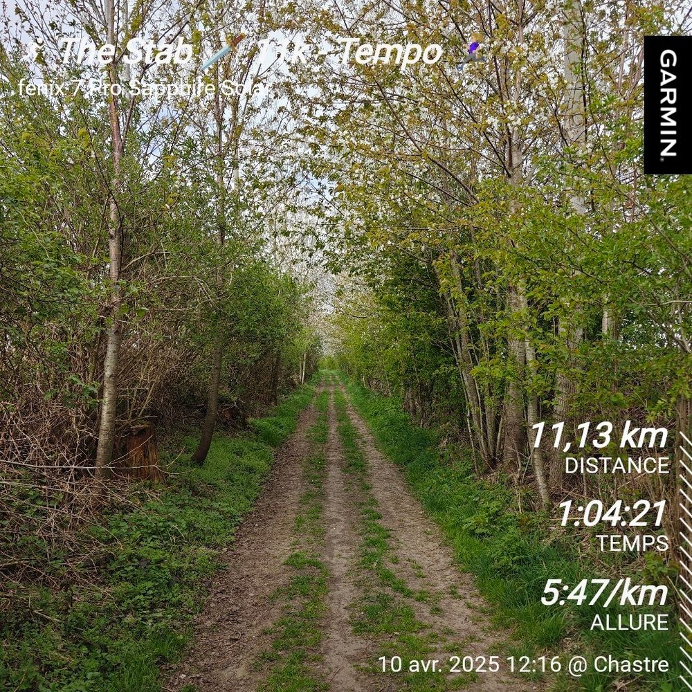 Run forest, run.