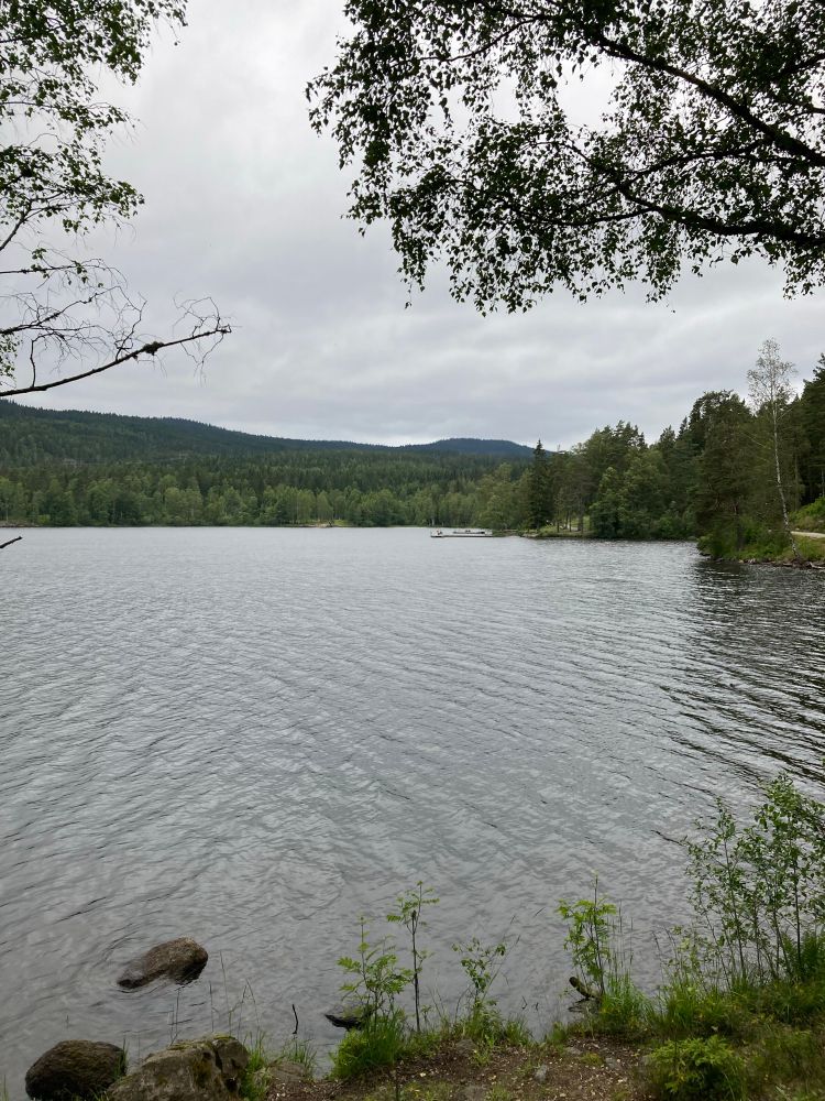 View over Sognsvann, a lake in Oslo. There’s a forest around the lake, and the sky is grey.