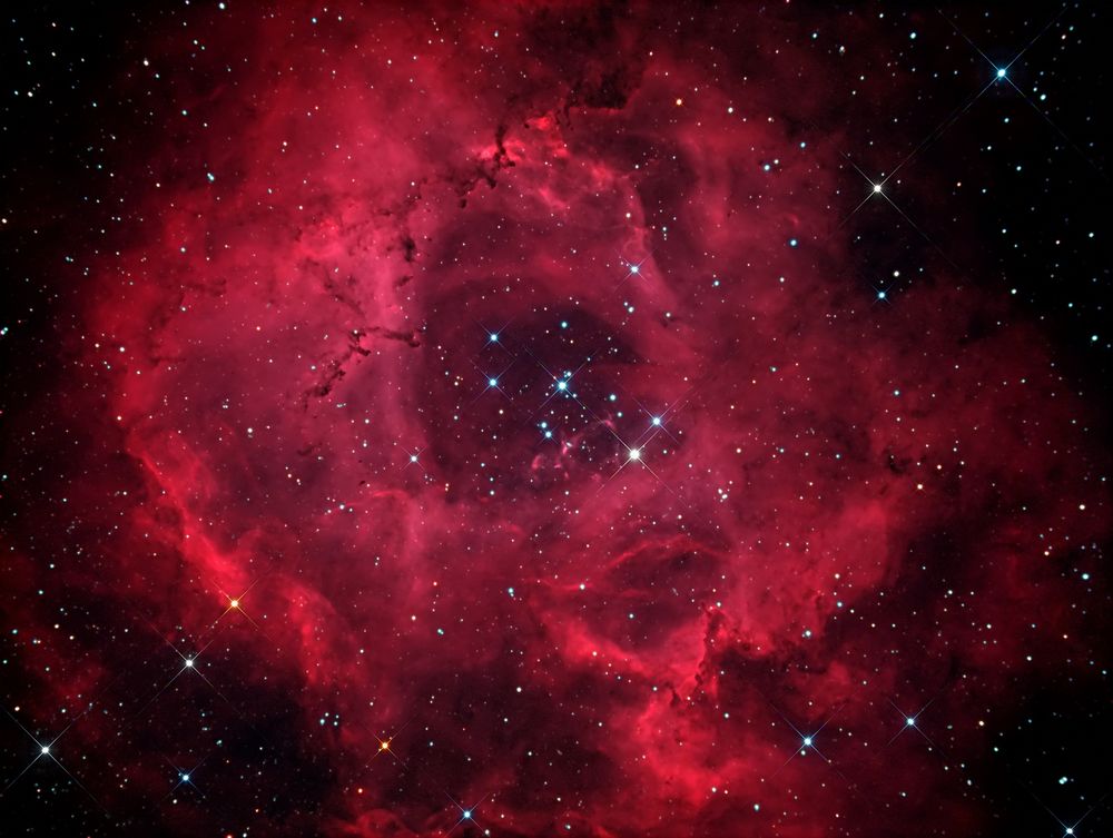 A red gas cloud in the shape of a rosette set against a black sky filled with stars.