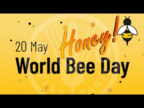 Honey - World Bee Day