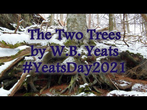 The Two Trees by W.B.Yeats