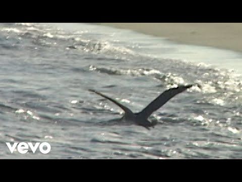 Nilüfer Yanya - Cold Heart (Official Visualiser)