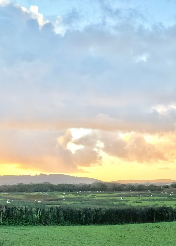 A warm and golden sunrise in South Wales