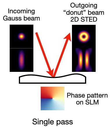 Technical diagram labelled as "single pass". The diagram shows a beampath reflected off an SLM once. The helical vortex phase pattern is shown beneath the SLM using a false color image. The incoming beam is labelled as "Gauss" and the two intensity crosssections (xy and xz) are shown. The outgoing beam is labelled as "donut / 2D STED". Also here intensity crossections are shown.