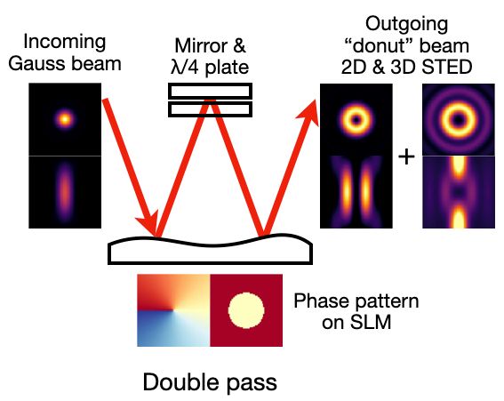 Technical diagram labelled as "double pass". The diagram shows a beampath reflected off an SLM, then passing through a lambda/4 plate onto a mirror, again through the lambda/4 plate and back to the SLM, where it is reflected a second time. Beneath the SLM, a helical vortex phase pattern and a tophead phase pattern are shown as false color images. The incoming beam is labelled as "Gauss" and the two intensity crosssections (xy and xz) are shown. The outgoing beam is labelled as "donut / 2D &3D STED". Both intensity cross sections for 2D and 3D STED are shown.