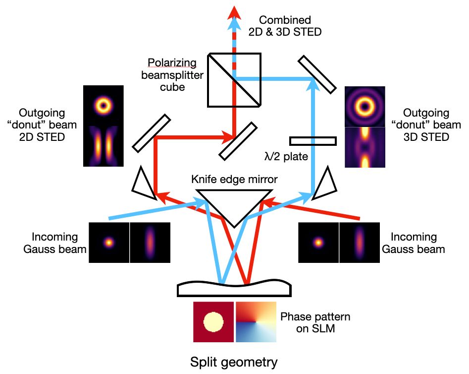 Technical diagram labelled as "split geometry". The diagram shows two complicated beampaths, one in red, one in blue. Both are reflected off the same SLM, separated by a triangular knife edge mirror and recombined using a polarizing beamsplitter. Like in the other two diagrams, the helical vortex phase pattern and a tophead phase pattern are shown as false color images beneath the SLM. The incoming beams are labelled as "Gauss" and the two intensity crosssections (xy and xz) are shown. The outgoing beams labelled as "donut / 2D STED" and "donut / 3D STED", respectively. Both intensity cross sections for 2D and 3D STED are shown.