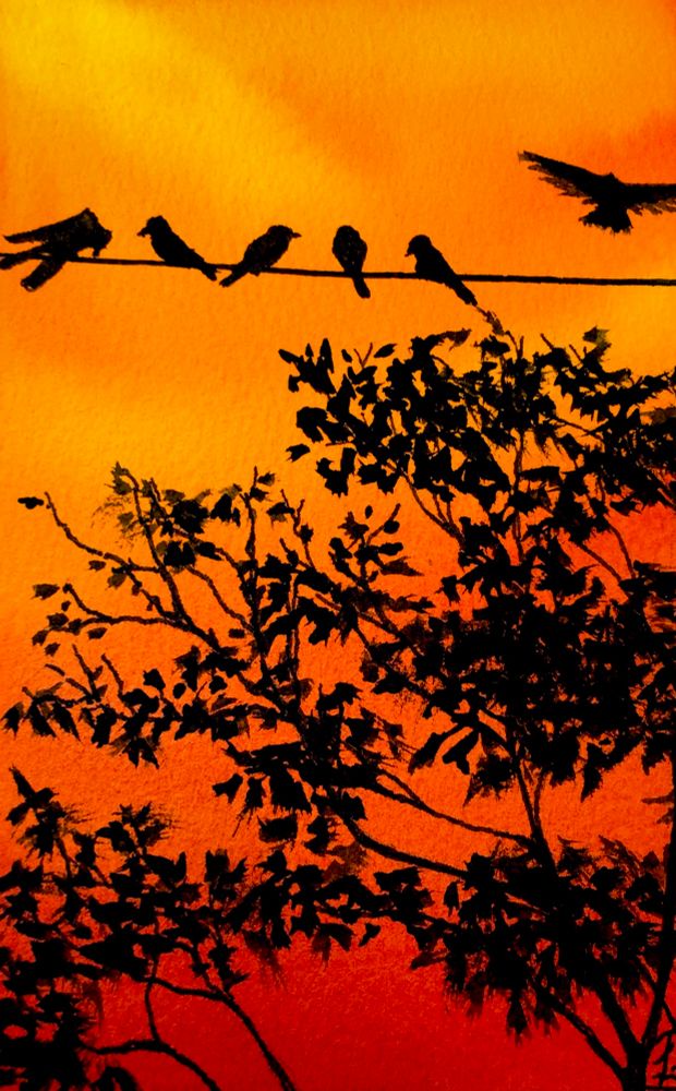 Watercolor painting of 5 birds,+ 1 in flight, on a wire over a tree silhouetted by the orange sunset sky. 