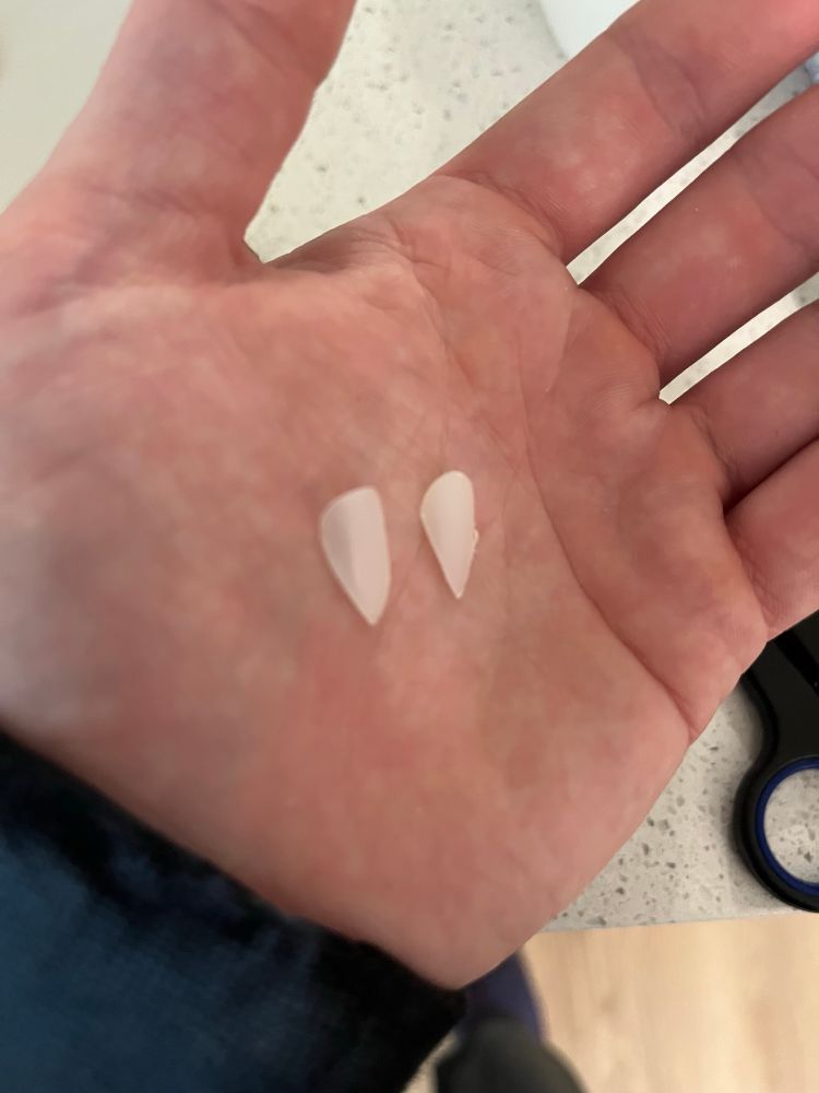 The press on fingernails cut into fangs