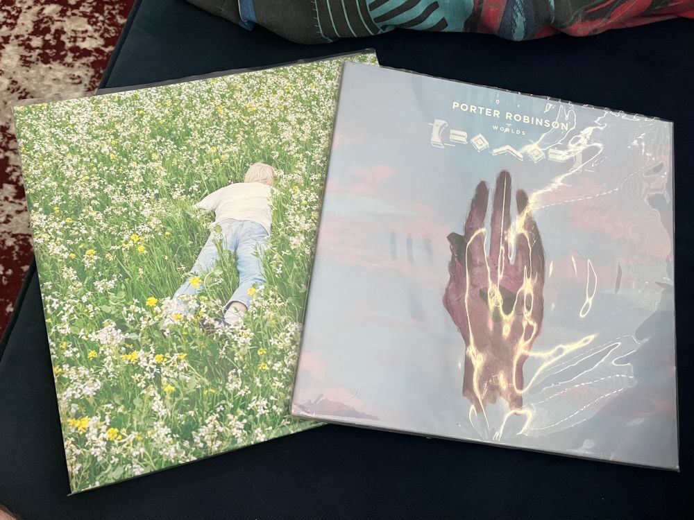 2 Vinyl showcasing Porter Robinson albums Wolds and nurture