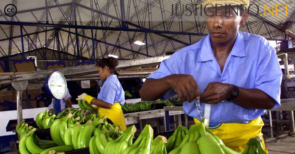 Insights from the Chiquita trial (1): 25 years of struggle