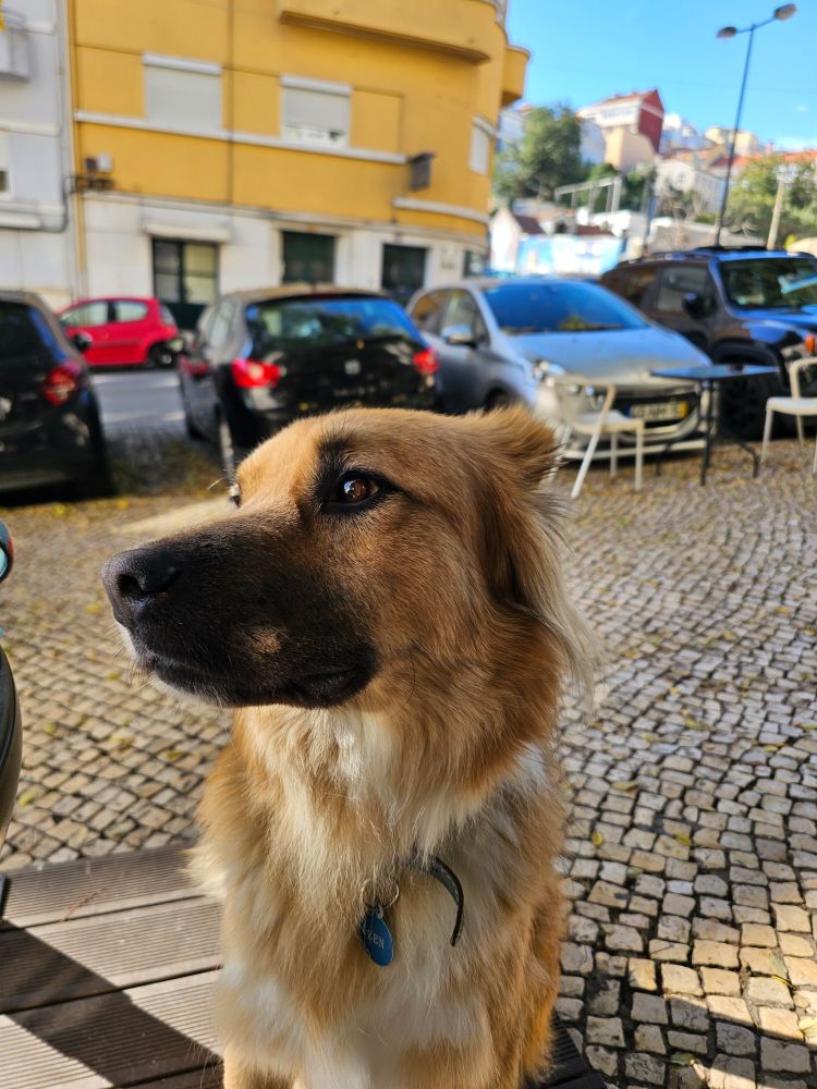 Zen on a café terrace