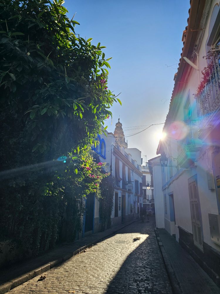 White houses, bougainvillea and the mezquita-catedral in the background