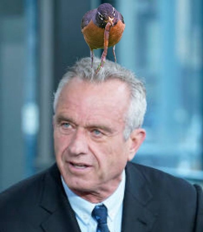 Comment image