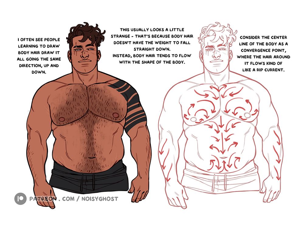 two side by side drawings of a shirtless man, one flat colors and one depicting a diagram of how body hair flows on the body. the text reads: i often see people learning to draw body hair draw it all going the same direction, up and down. This usually looks a little strange - that's because body hair doesn't have the weight to fall straight down. instead, body hair tends to flow with the shape of the body. consider the center line of the bod as a convergence point, where the hair around it flows kind of like a rip current.