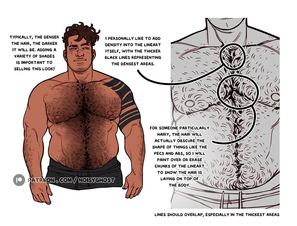 Two drawings side by side, the one on the left is the same shirtless man, flatly colored, while the drawing on the right is a black and white close up of the previous image to zoom in on the lineart. The text on the image reads: typically, the denser the hair, the darker it will be. Adding a variety of shades is important to selling the look! I personally like to add density into the lineart itself, with the thicker black lines representing the densest areas. For someone particularly hairy, the hair will actually obscure the shape of things like the pecs and abs, so i will paint over or erase chunks of the lineart to show the hair is laying on top of the body. Lines should overlap, especially in the thickest areas.