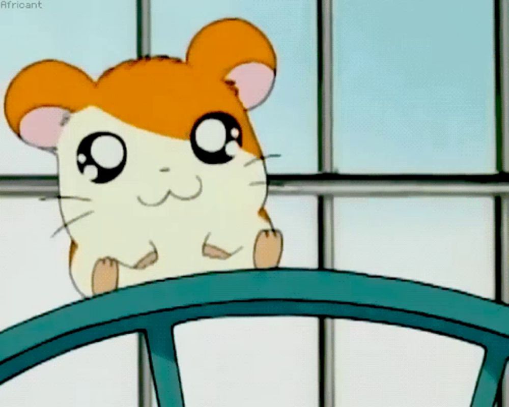 a cartoon hamster is sitting on a blue chair with the caption " africant "