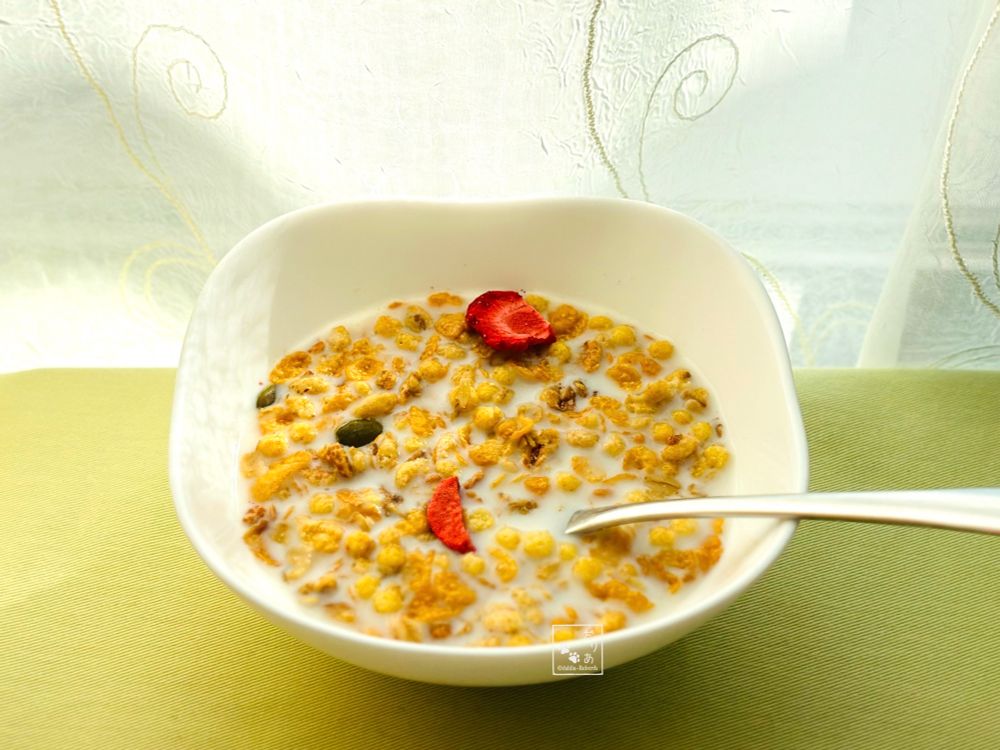 ヤマザキ春のパン祭りの四角いボウルにフルーツグラノーラ