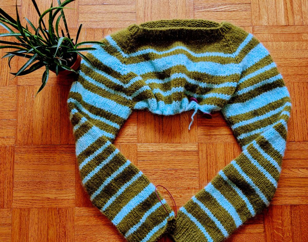 A hand knit avocado green and sky blue striped sweater lying on a wood floor. The sweater is incomplete - one sleeve is finished, one is nearly finished and body has only been knit to the underarms. There is a very tiny potted snake plant at the top left of the sweater. 