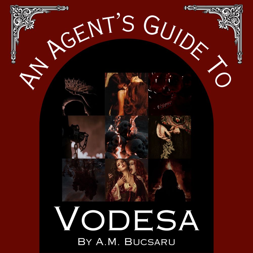 An Agent's Guide to Vodesa by A.M. Bucsaru