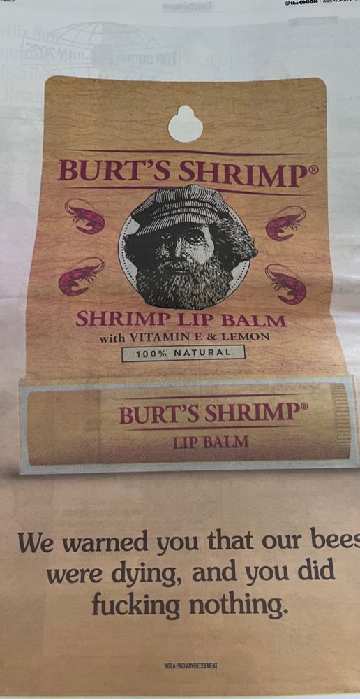 burt's shrimp lip balm parody ad in an onion newspaper