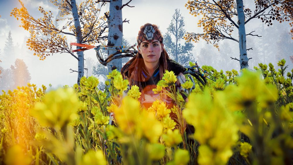Aloy sitting in a field of yellow flowers