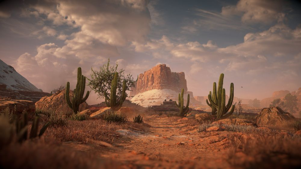 A scene of a trail in the desert, with a large mesa with snow at its base in the distance. Each side of the trail is marked by cactus.