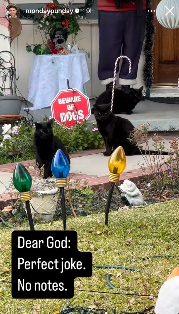 A front yard decorated with completed  Christmas bulbs along the path to the door with a Beware of Dogs sign prominently displayed. Surrounding the sign are three black cats. 

A text bubble reads: Dear God: Perfect joke. No notes.