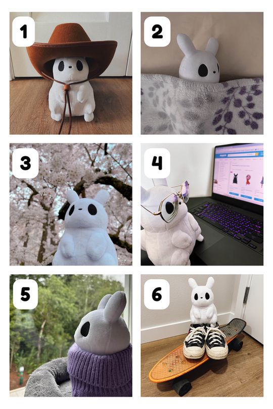 1. Survivor plush wearing a cowboy hat
2. Survivor tucked into bed snoozing
3. Survivor gazing lovingly at the cherry blossoms
4. Survivor wearing glasses and doing some online shopping on sanshee.com
5. Survivor wearing a cute sweater and looking out the window
6. Survivor wearing skate shoes standing on top of a skateboard