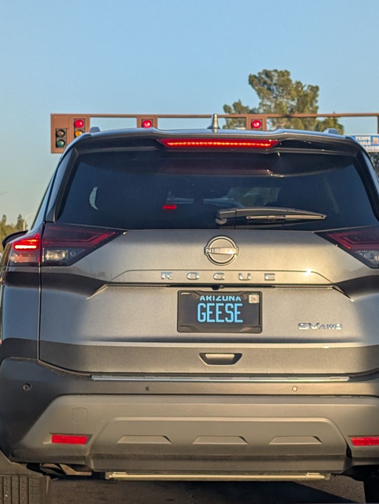Vehicle with license plate that says GEESE