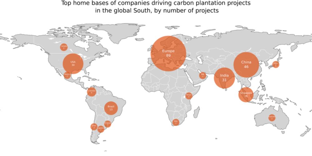 Bringing Transparency to Carbon Credit Projects | DSI