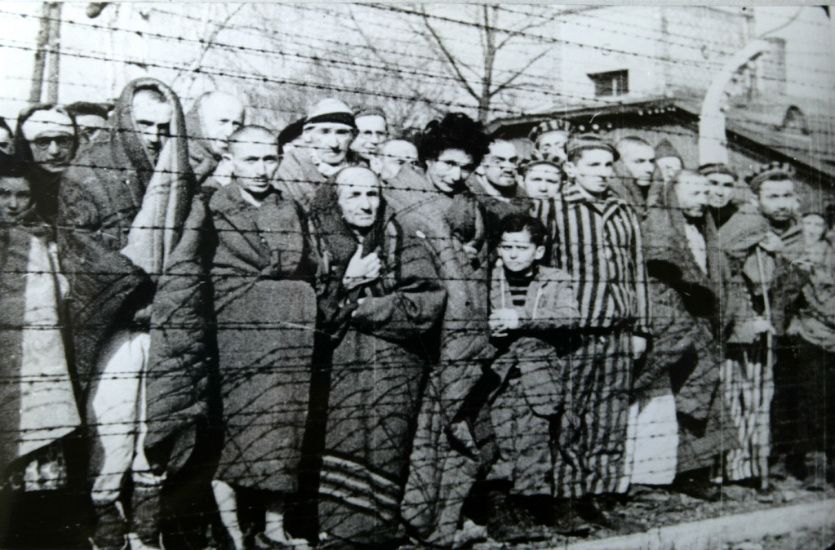 Photo of Auschwitz prisoners lined up against barbed wire fences on the day of liberation.