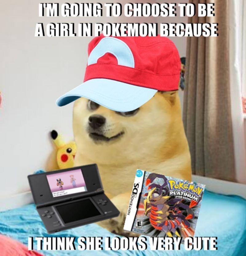 Edit of a childlike Doge wearing a Pokémon Trainer hat and holding a DS with a copy of Pokémon Platinum.
Caption: "I'M GOING TO CHOOSE TO BE A GIRL I POKEMON BECAUSE I THINK SHE LOOKS VERY CUTE"