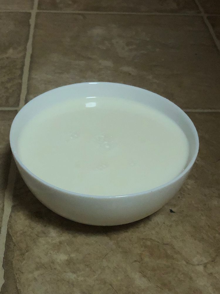 A bowl of delicious milk.