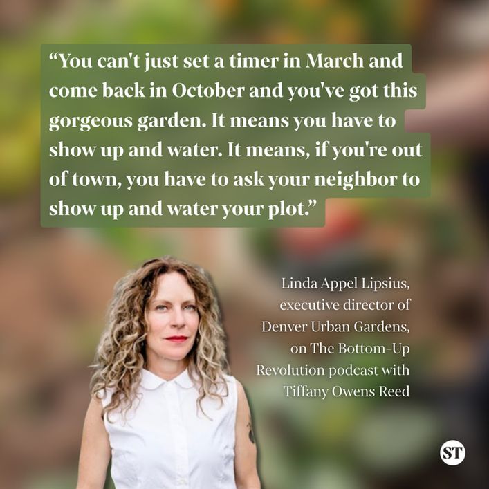 Quotation graphic featuring a photo of Linda Appel Lipsius. Text reads, “You can't just set a timer in March and come back in October and you've got this gorgeous garden. It means you have to show up and water. It means, if you're out of town, you have to ask your neighbor to show up and water your plot.”