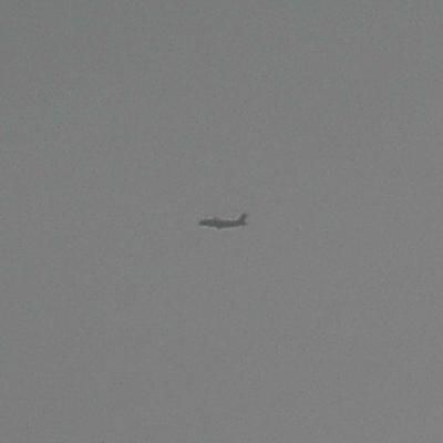 Thumbnail 3 (confidence 1.00)