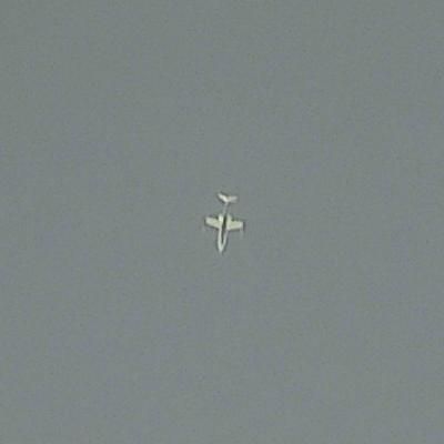 Thumbnail 2 (confidence 1.00)