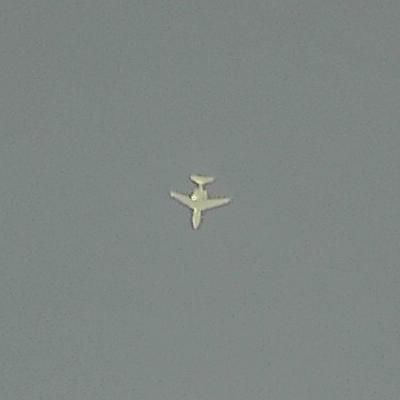 Thumbnail 1 (confidence 1.00)