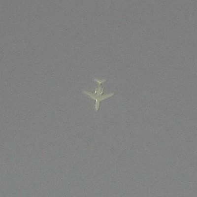 Thumbnail 1 (confidence 1.00)