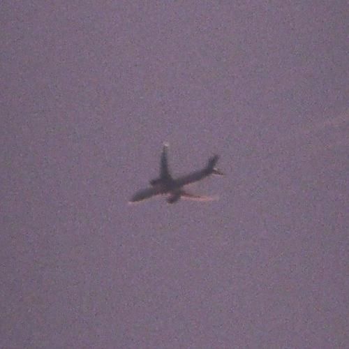 Thumbnail 2 (confidence 1.00)