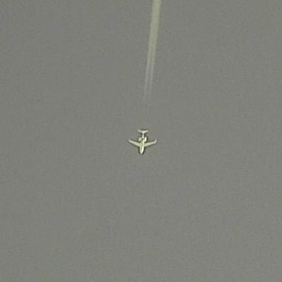 Thumbnail 2 (confidence 1.00)