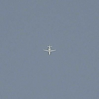 Thumbnail 2 (confidence 1.00)