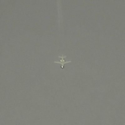 Thumbnail 3 (confidence 1.00)